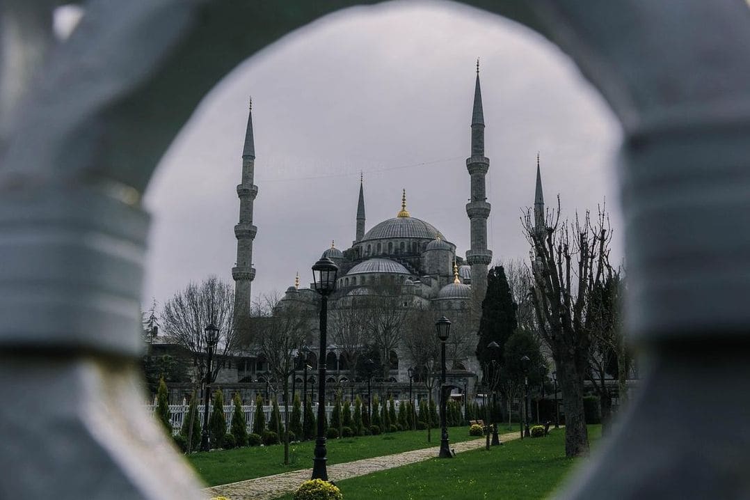 翠景ガーデンサービス 14