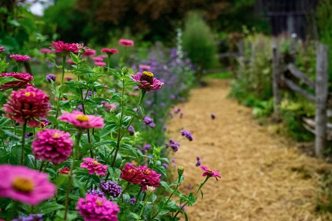 植栽設計・植え替え
